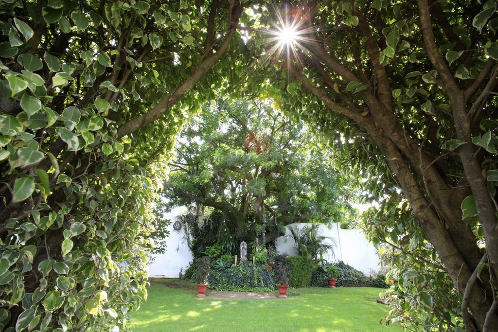 Villa Bejar Cuernavaca Exterior photo